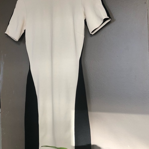 ⭐️HP⭐️ Aritzia  Bodycon dress- small - Picture 12 of 12